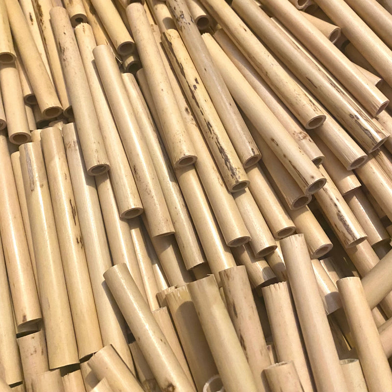 Medir oboe tube cane, a large amount of oboe cane in a box, ready to be gouged, shaped and folded and made into your best oboe reeds 