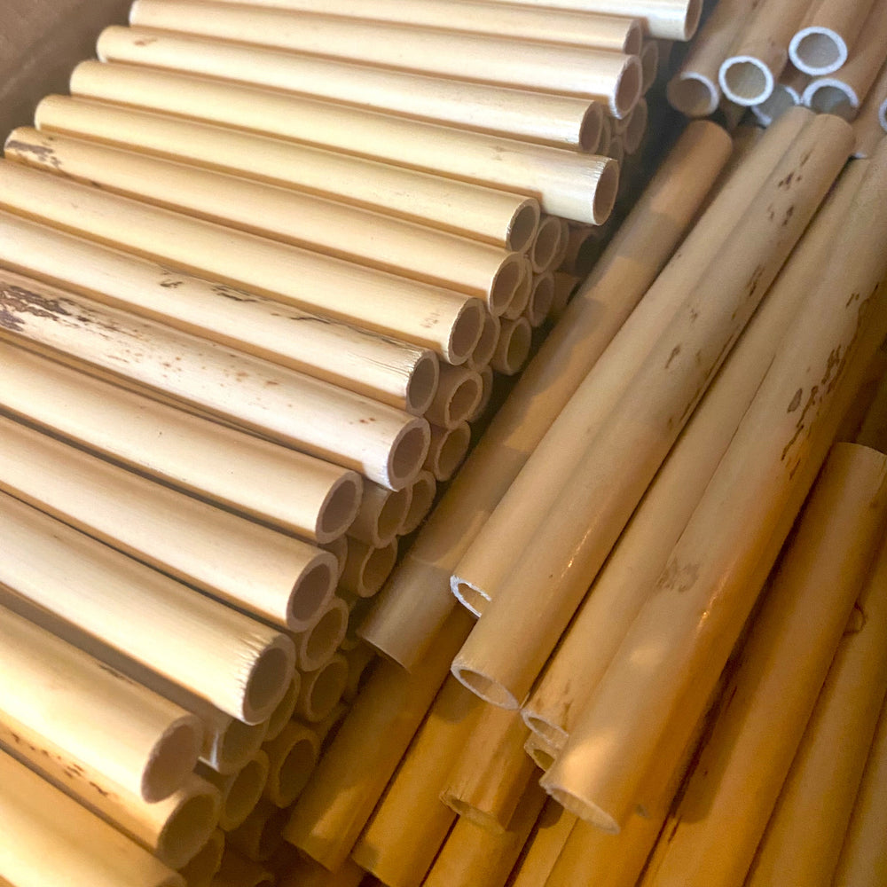 Tchankaya oboe tube cane ready to be gouged shaped and folded and handmade into your best oboe reeds 