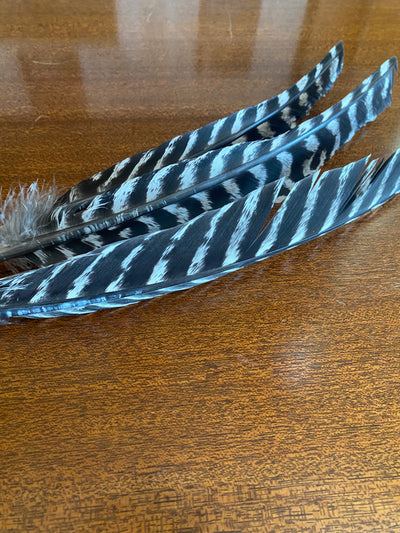 Turkey Feathers Oboe Swab, 3 Pack