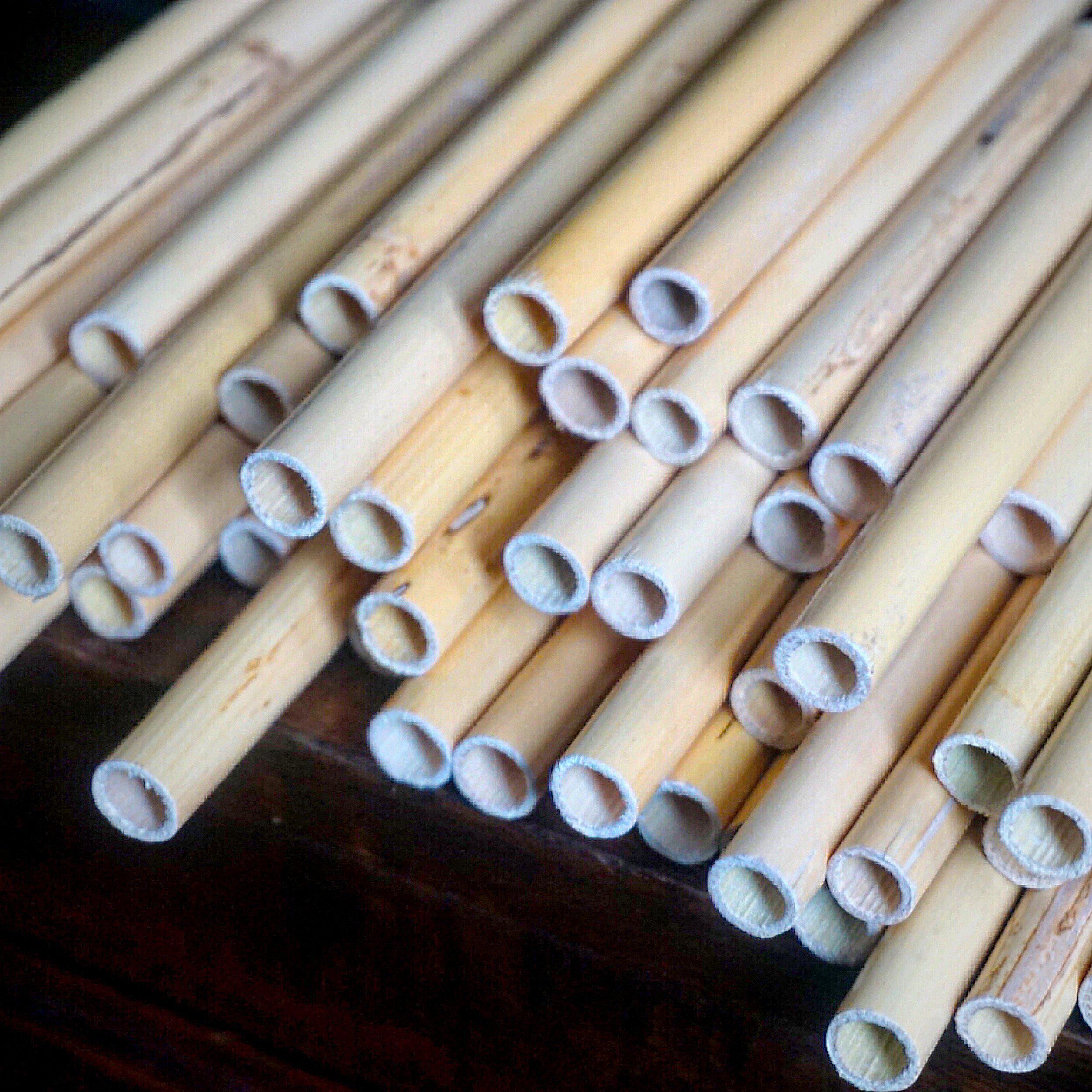 Lavoro oboe tube cane. A.Lakota Reeds caries oboe cane processed from start to finish, tube cane all the way up to handmade oboe reeds
