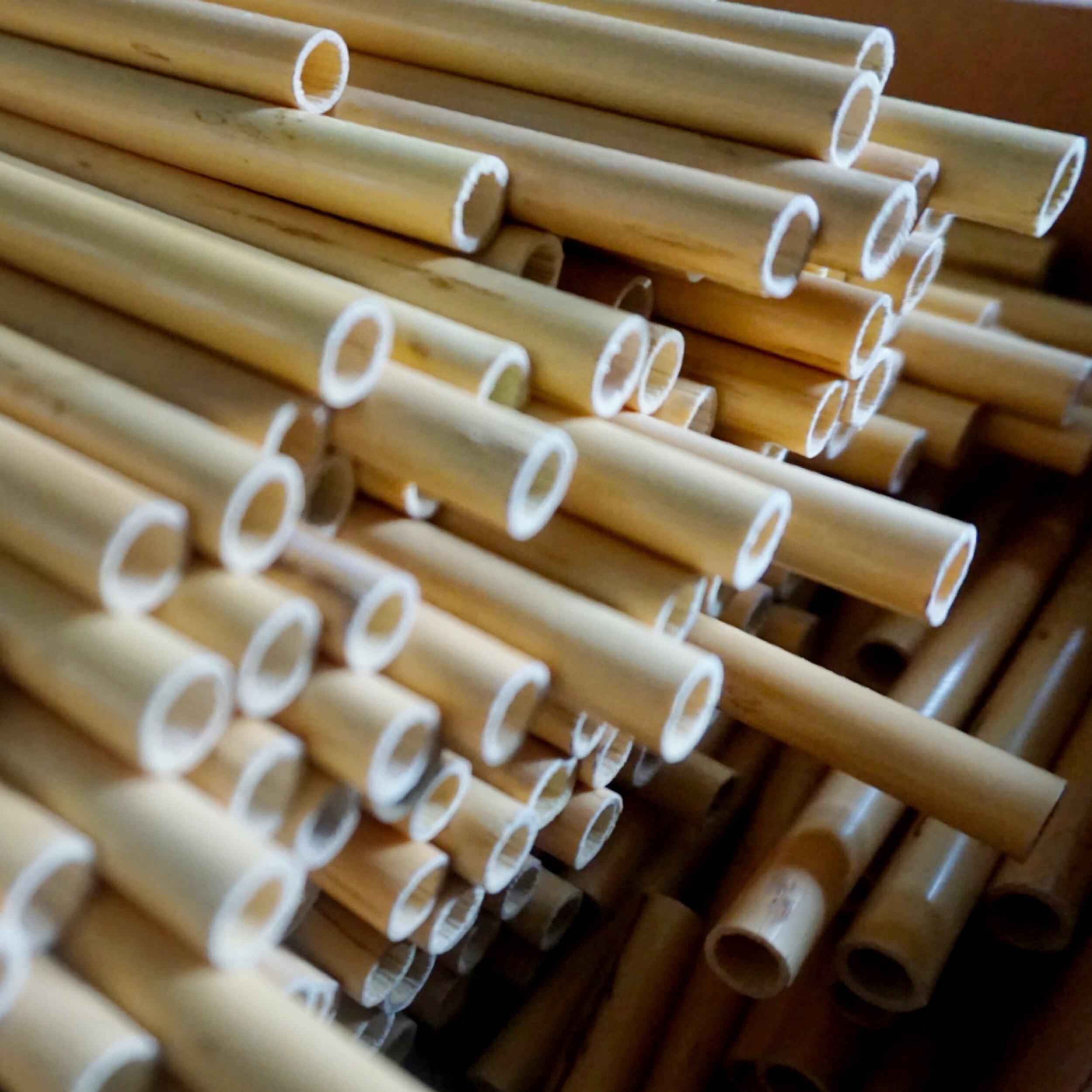 Lavoro oboe tube cane. Oboe tube cane is ready to be made into your best handmade oboe reed