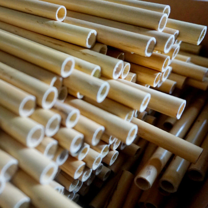 Handmade oboe reeds for the best results. – A.Lakota Reeds