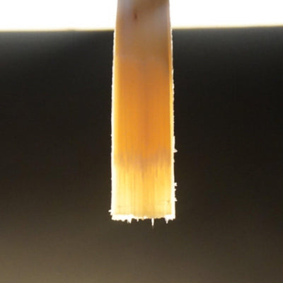 Profiled Oboe Cane | Gouged, Shaped & Profiled | Cane Lab
